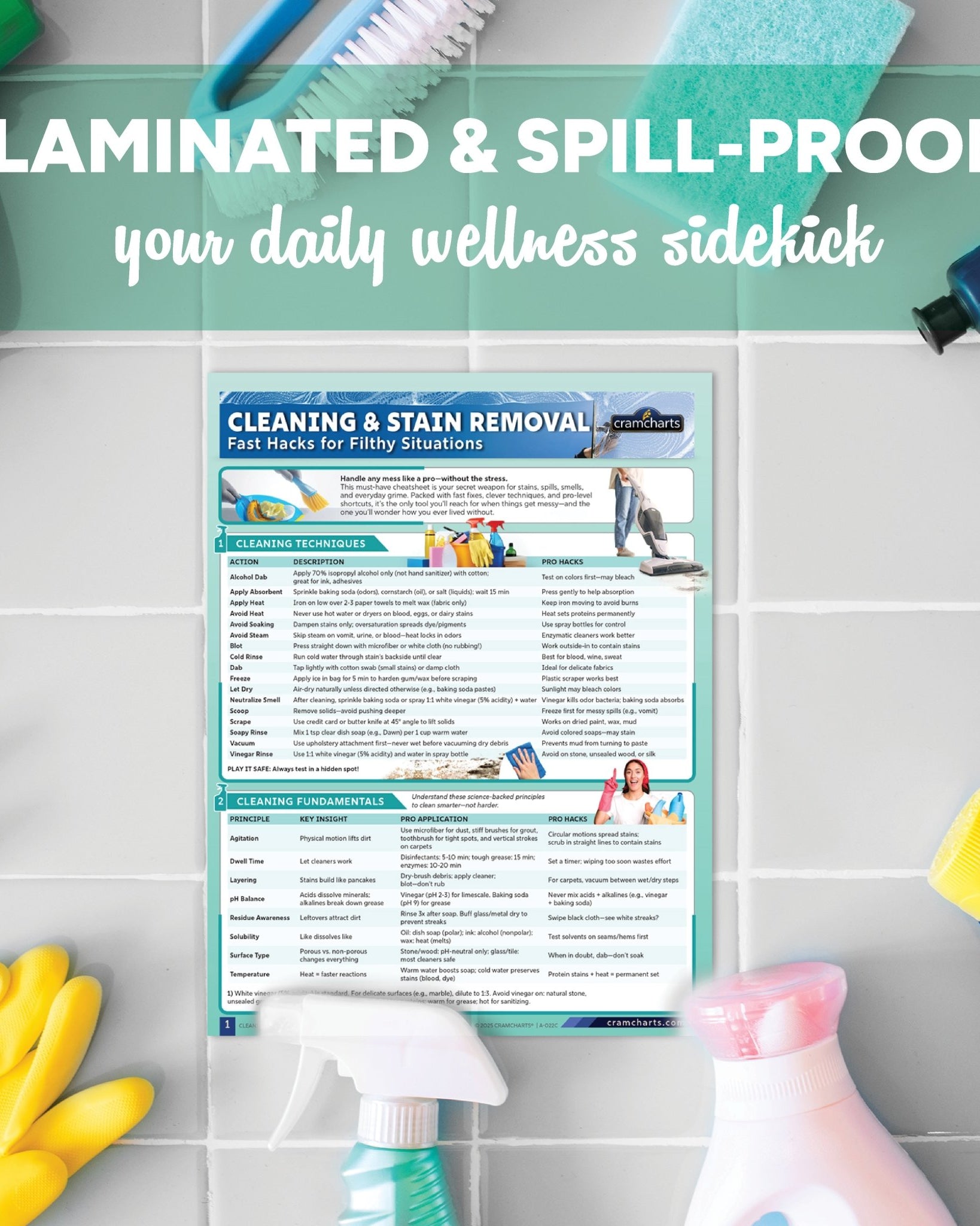 Cleaning & Stain Removal - Cramcharts Media