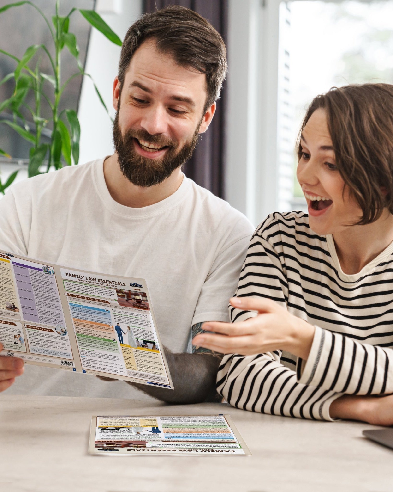 Family Law Essentials - Cramcharts Media