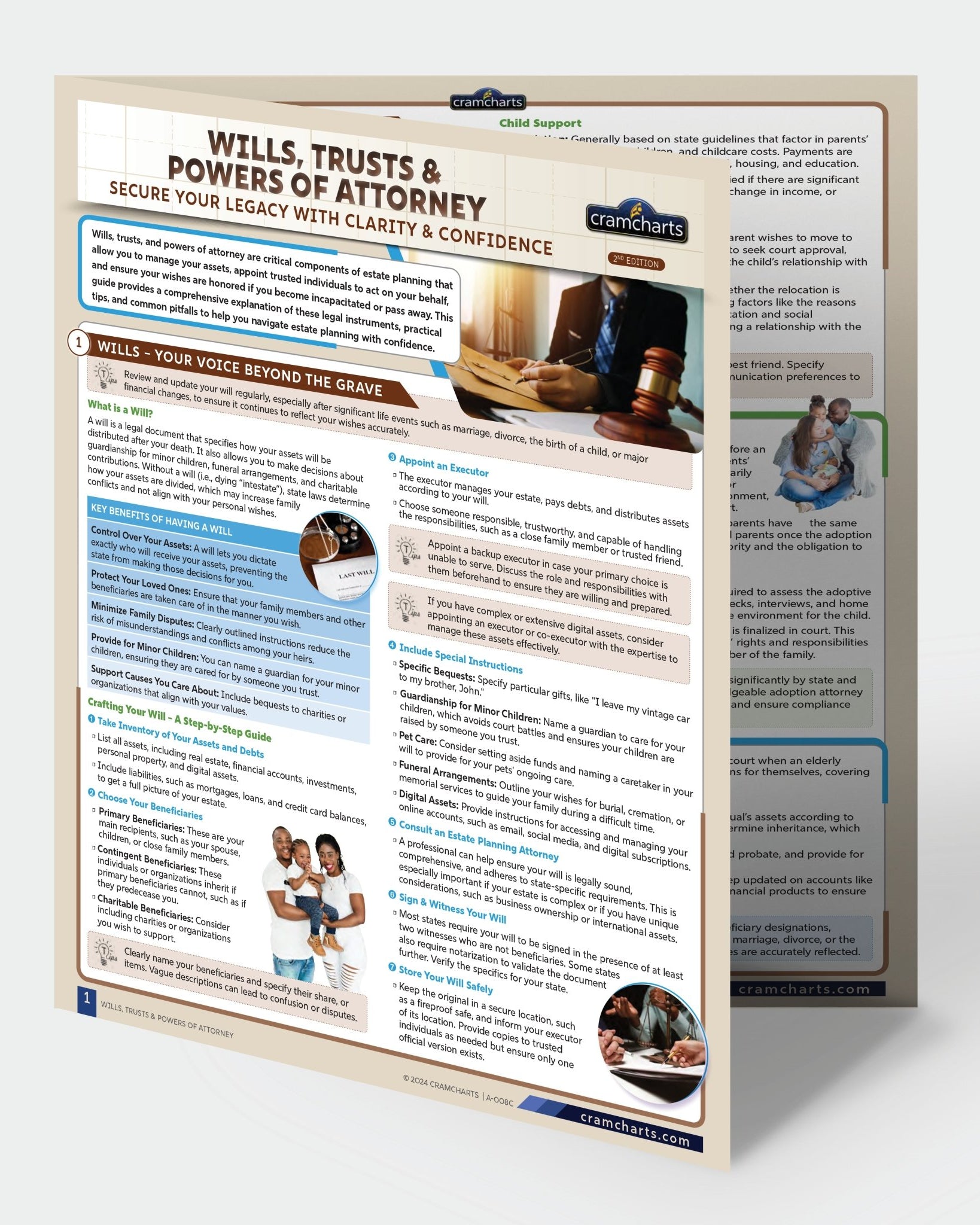 Family Law Legal Planning Kit - Cramcharts.com