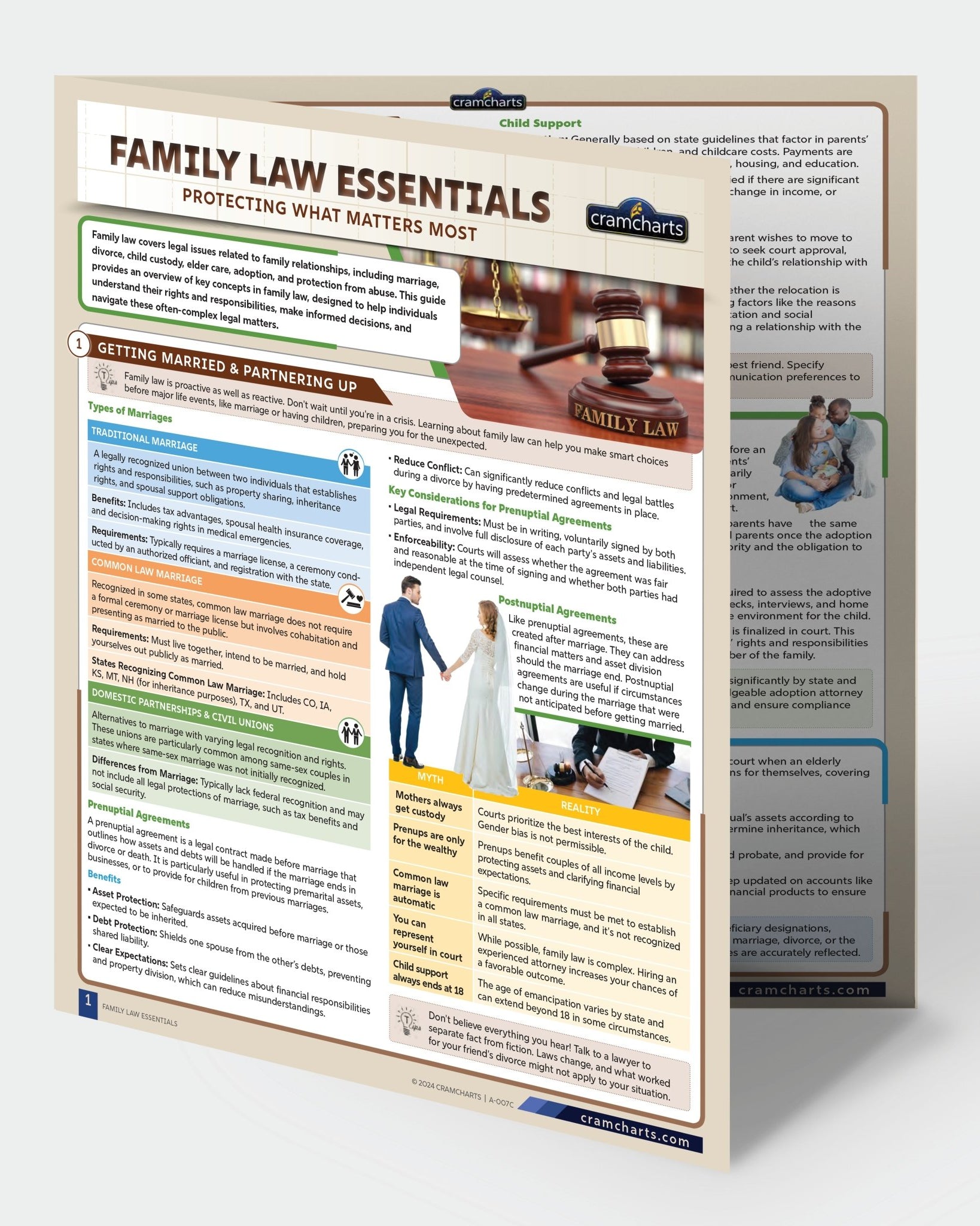 Family Law Legal Planning Kit - Cramcharts.com