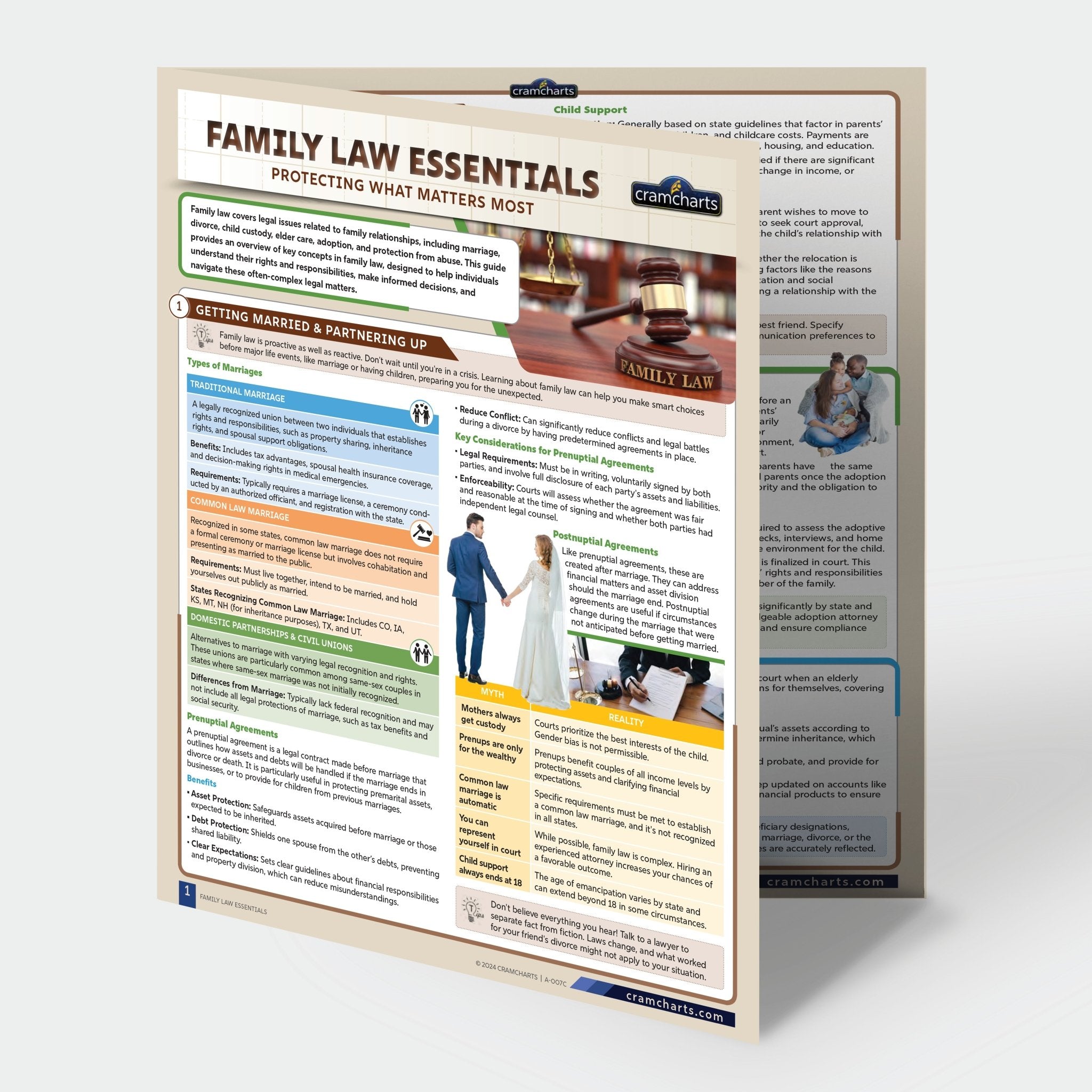 Family Law Legal Planning Kit - Cramcharts.com