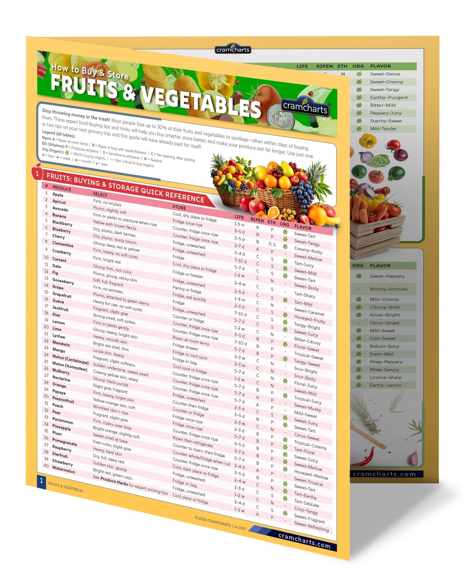 Home Survival Kit - Cramcharts Media