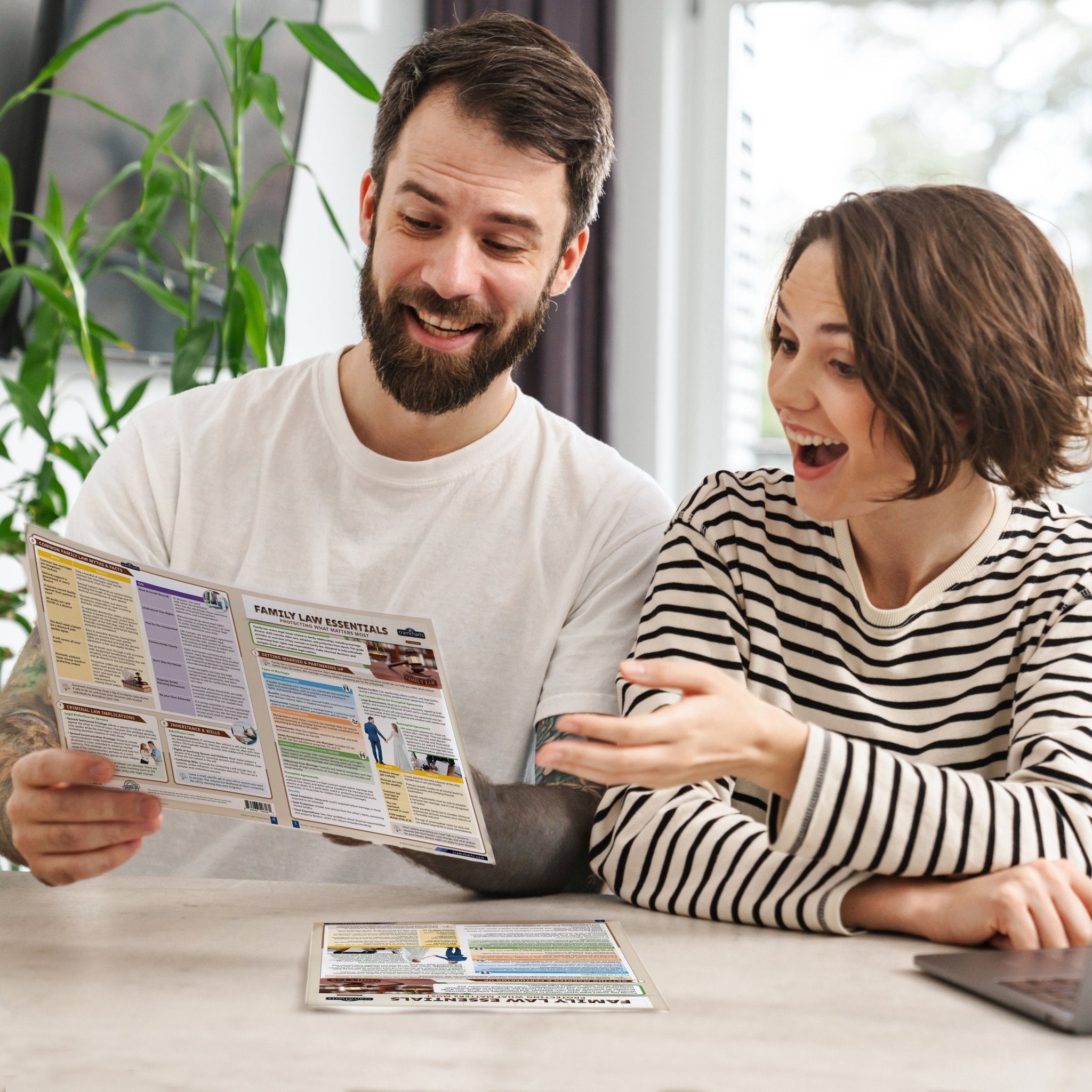 Family Law Essentials - Cramcharts Media